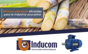 Motores eléctricos eficientes para la industria azucarera