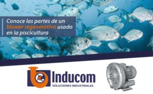 Conoce las partes de un blower regenerativo usado en la piscicultura