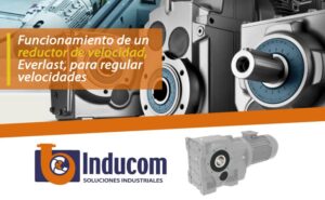 Reductor de velocidad, Everlast, para regular velocidades