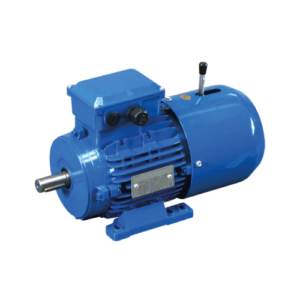 Motor eléctrico trifásico con freno